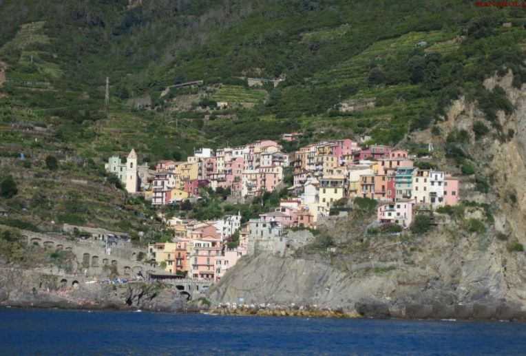 Manarola