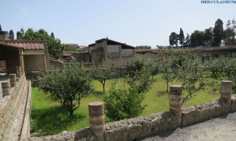 herculaneum-6