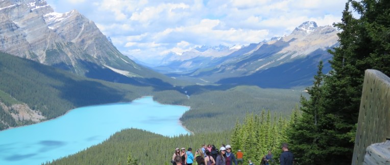Peyto Lake 1