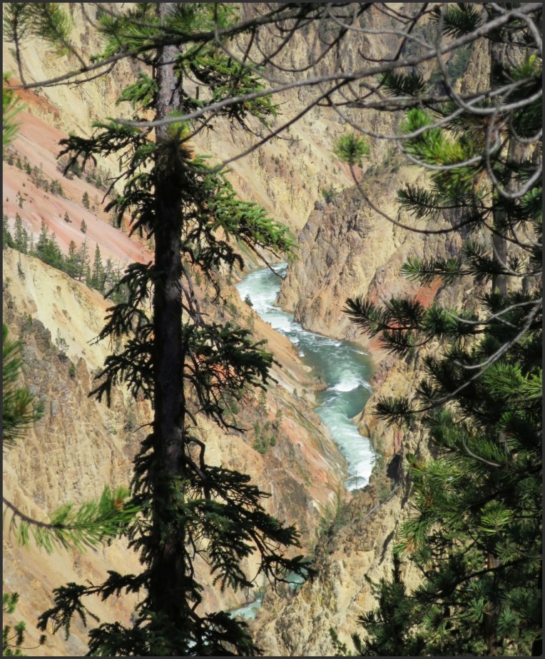 Grand Canyon of Yellowstone