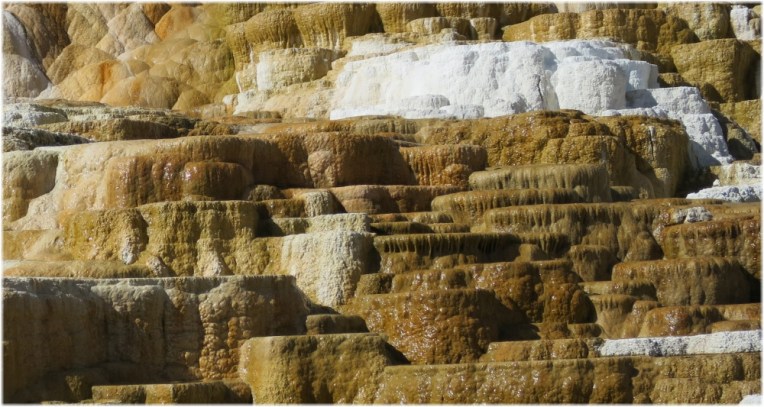 Palette Spring natural intricacies - Mammoth Hot Springs
