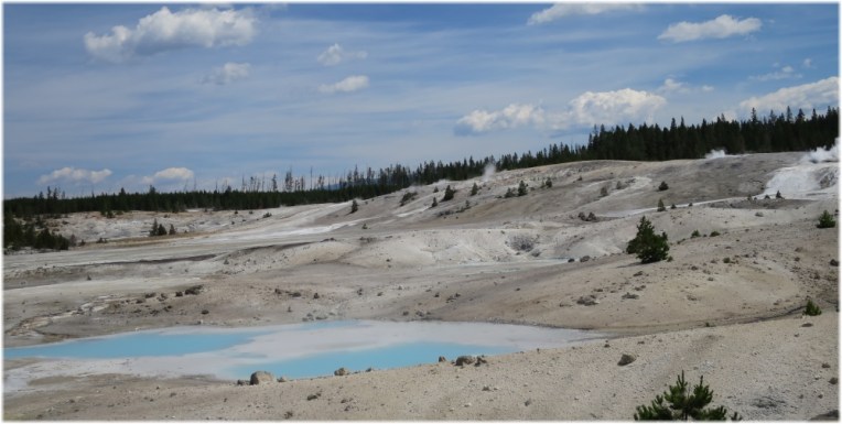Porcelain Basin fumaroles - Norris Geyser Basin