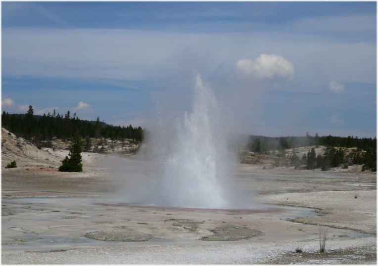 Whirligig Geyser - Porcelain Basin - Norris Geyser Basin