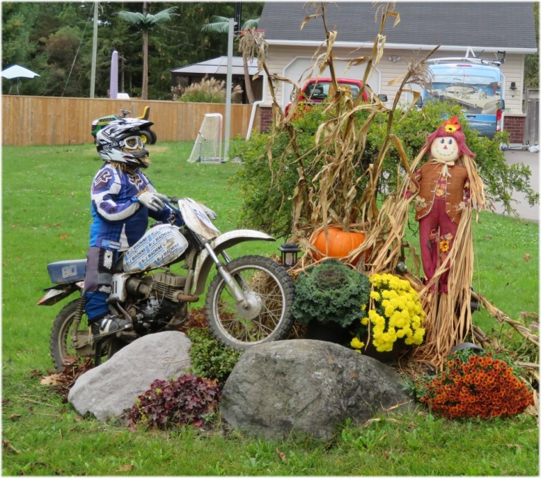 Scarecrow contest 2
