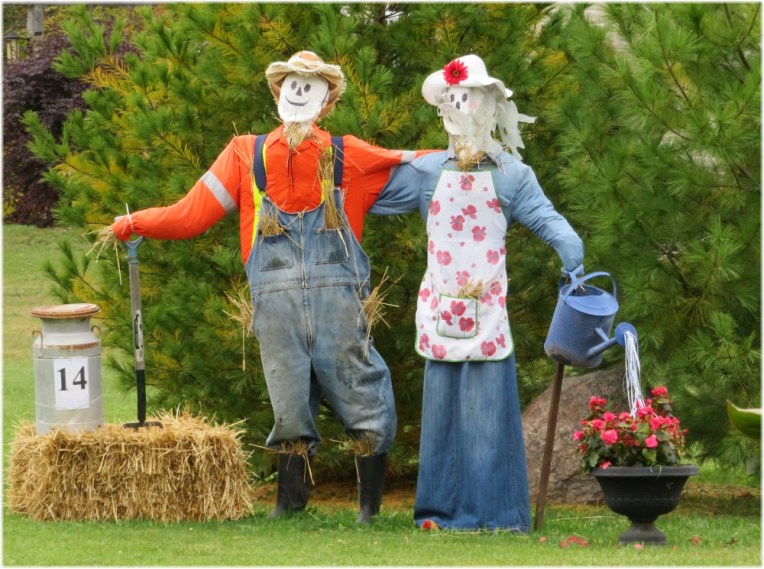 Scarecrow contest 3