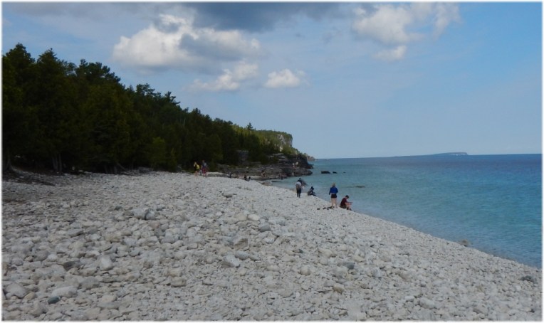Halfway Log Dump Trail