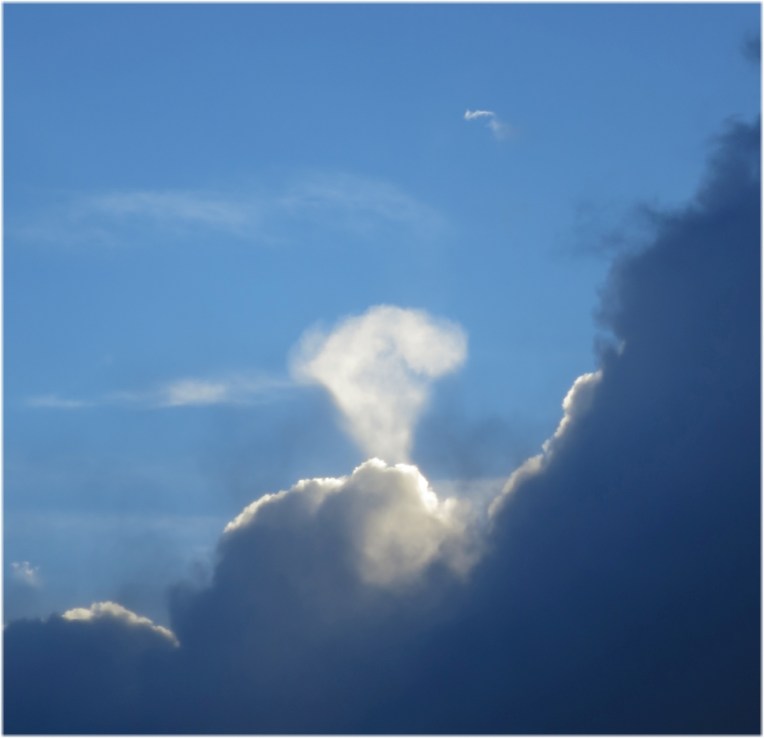 The Sorcerer puffing out a storm Gardiner Montana