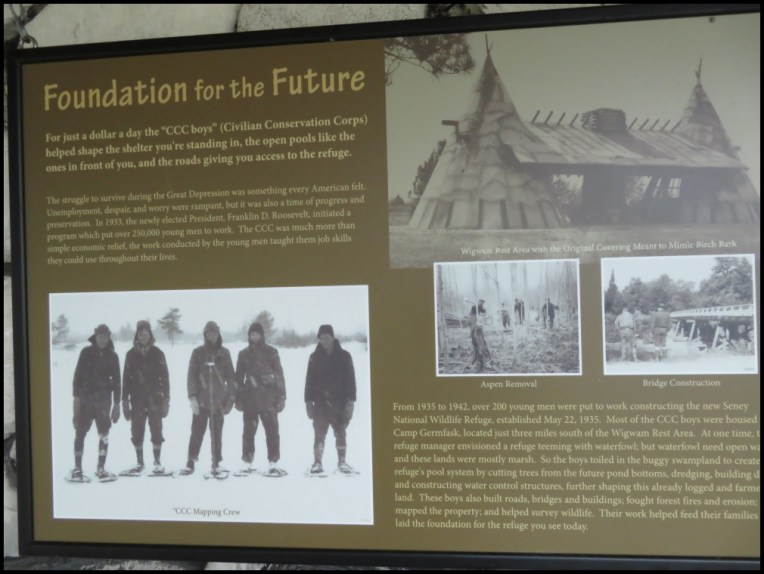 Seney Foundation for the future