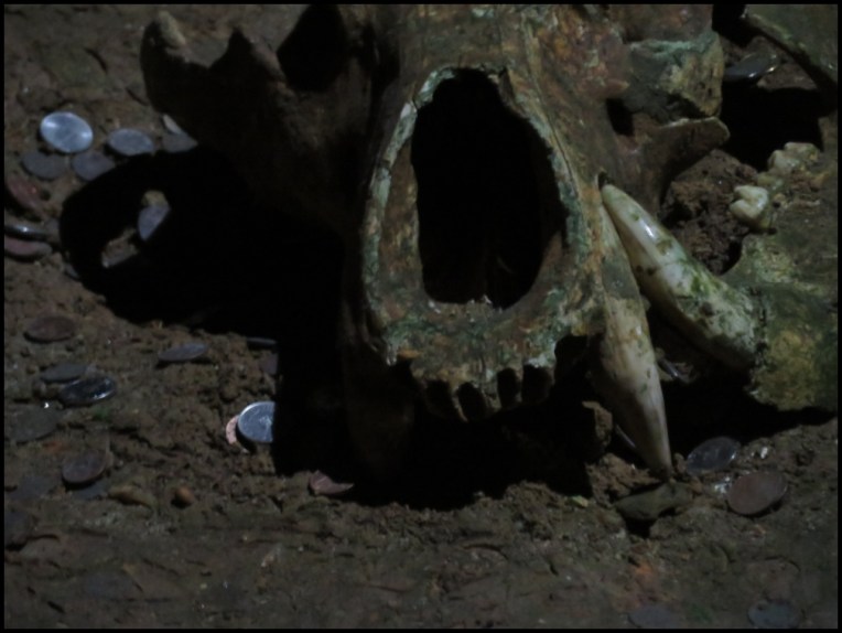 Bear's cave - bear jaw, close view