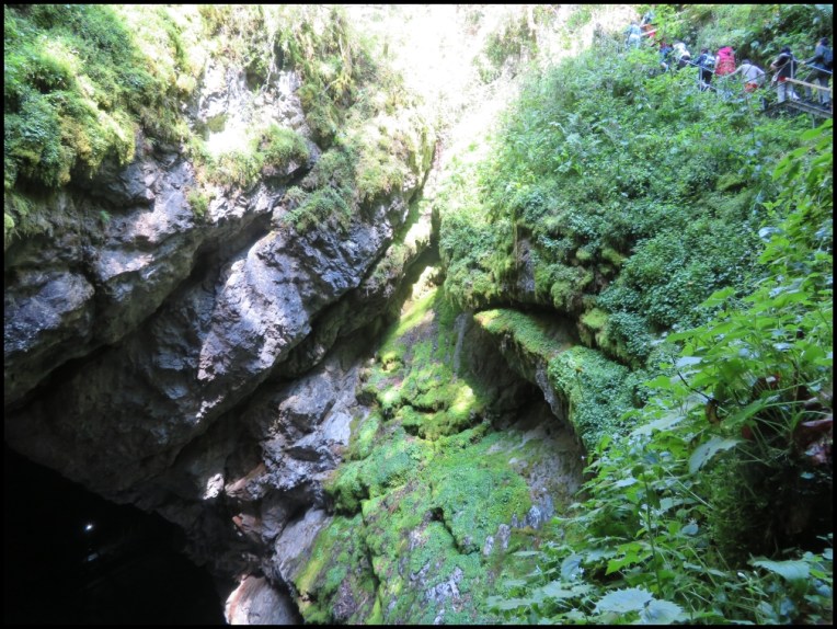 Scarisoara Ice Cave - the amazing lush green vegetation grown on the rocks