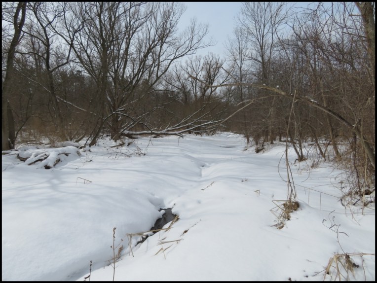 The Riverwood Conservancy - pristine view