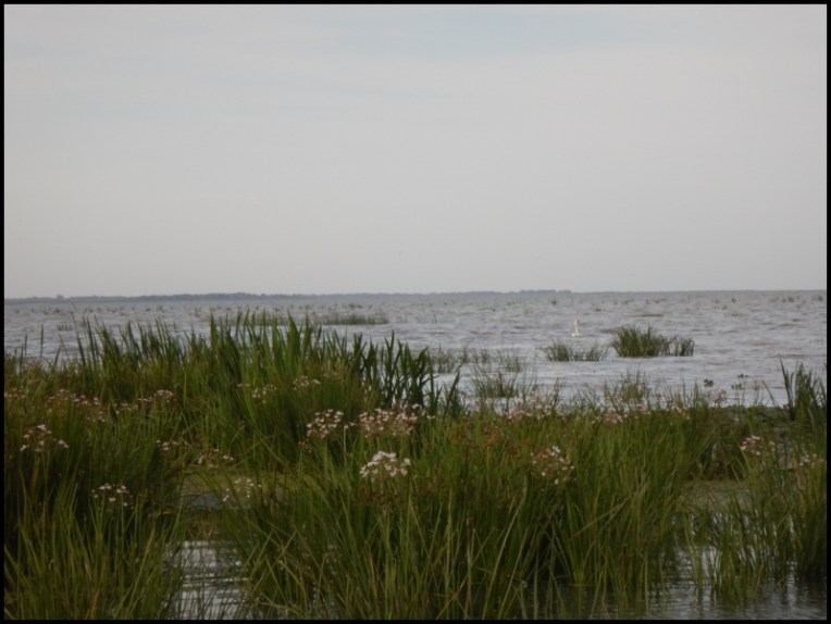 Sulina - where the river touches the sky