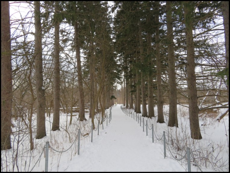 The Riverwood Conservancy - Walking in the park