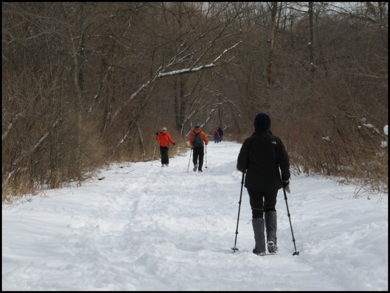 The Riverwood Conservancy - Walks in the park