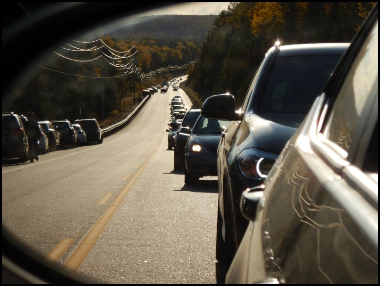 Algonquin park - traffic might get busy on a beautiful long weekend