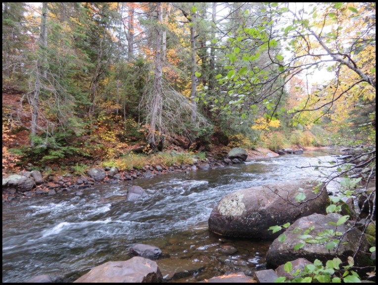 Whiskey Rapids Trail