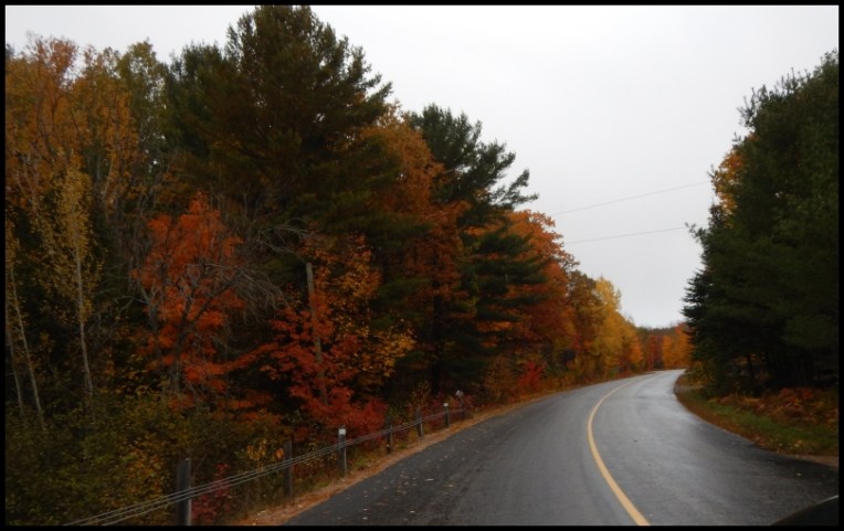 A colourful fall along the Canadian roads