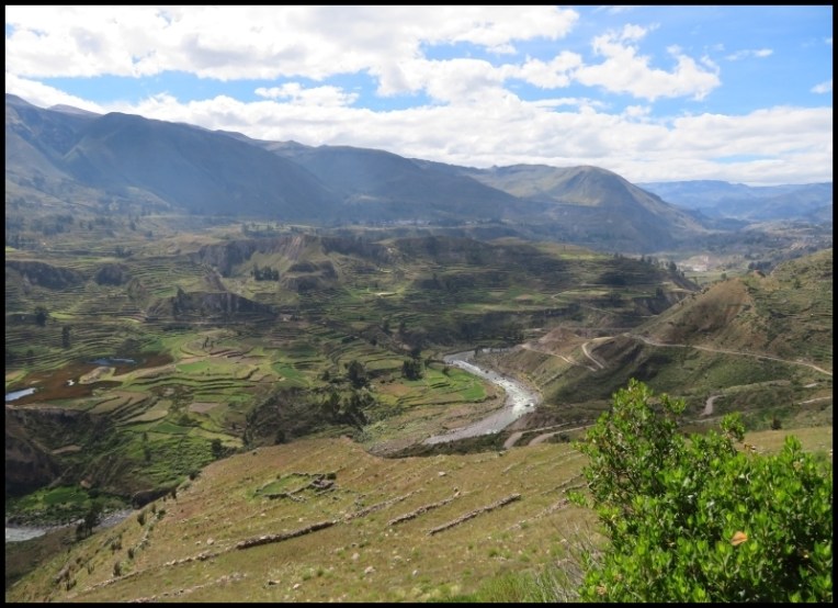 The majestic Colca Canyon