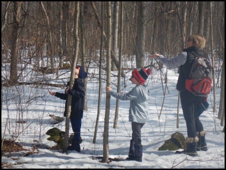 Hilton Falls - a family trying to palm feed chickadees