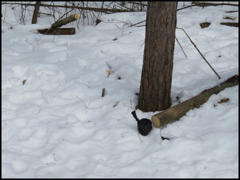 Hilton Falls - dog walkers forgot their business