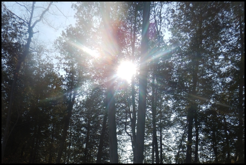 Hilton Falls - Sun playing peekaboo