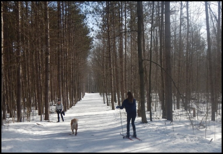 Hilton Falls trail - multiple use of the trail
