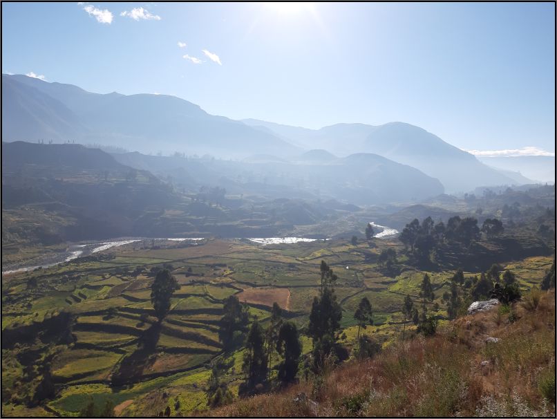 Colca Canyon - near Mirador del Tunturpay