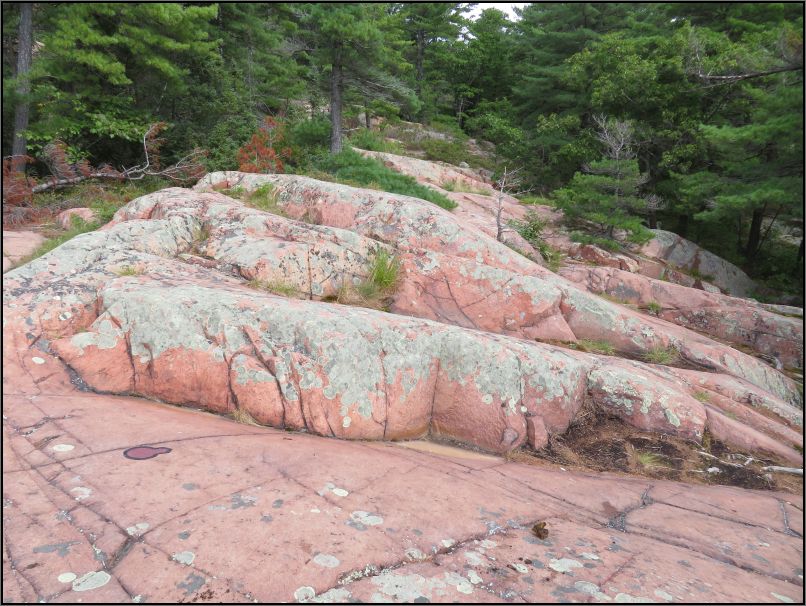 Killarney park, Chikanishing trail