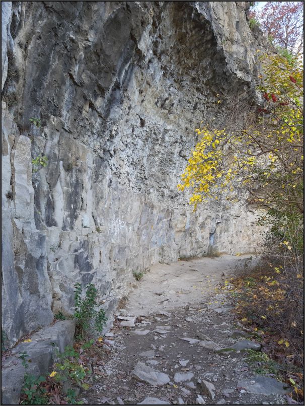 Niagara Escarpment - dolomite cliff