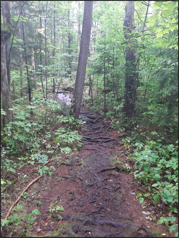 Recolett Falls trail