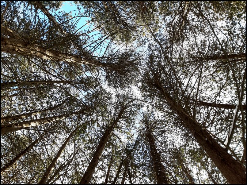 Emily Provincial Park