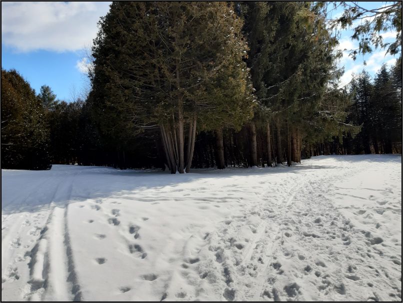 Emily Provincial Park