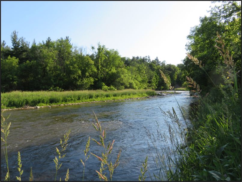 Credit River