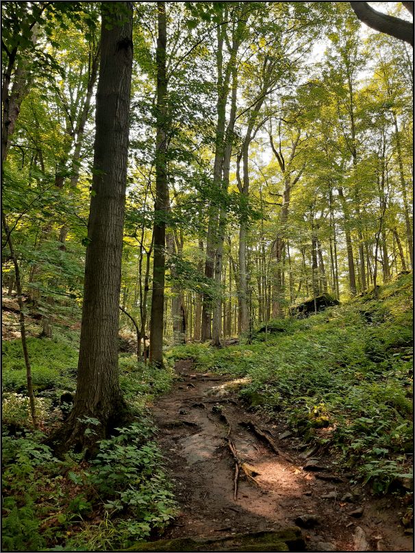 Dundas Valley Conservation Area