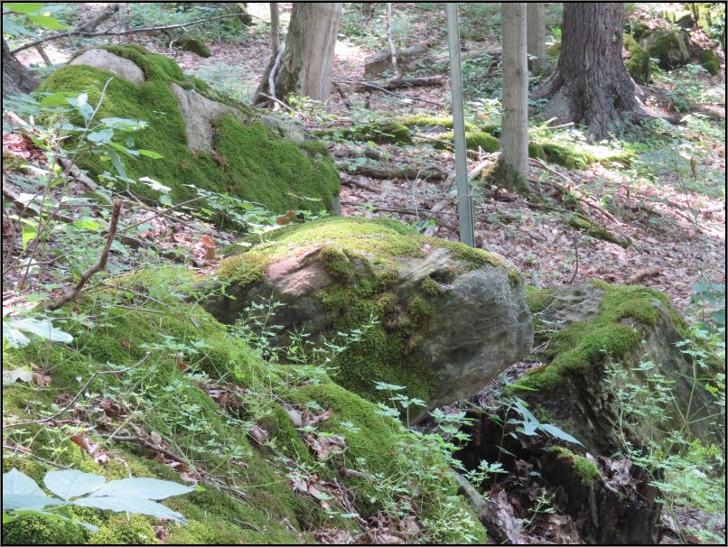 Dundas Valley Conservation Area