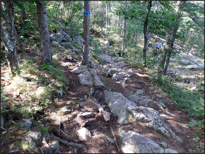 Twin bridges trail - Chutes Provincial Park