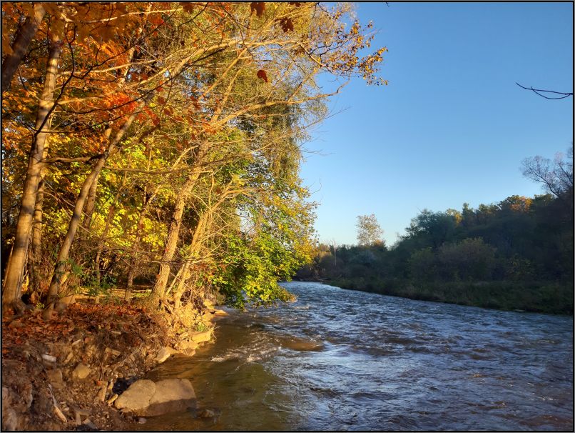 Riverwood Conservancy