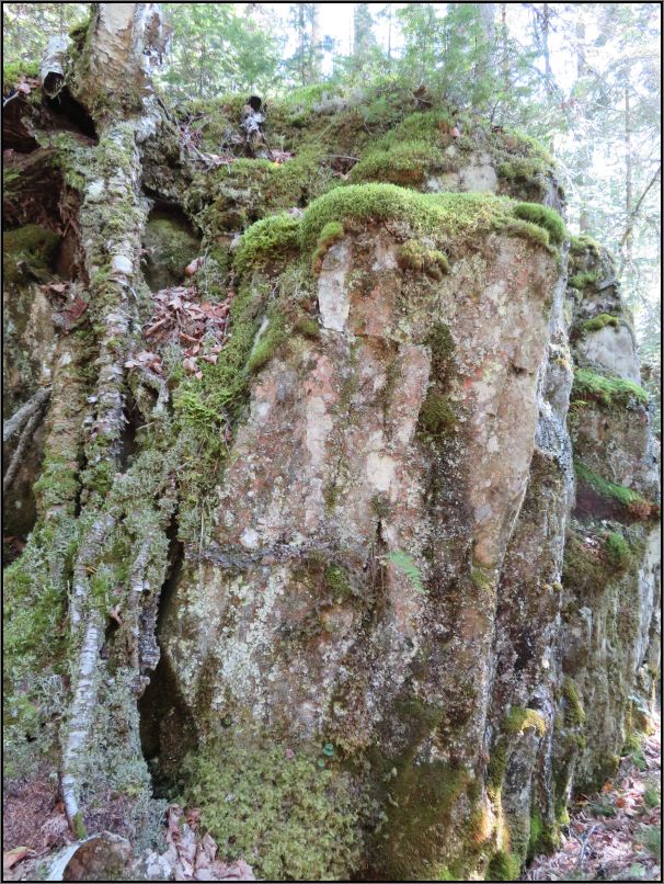 Pukaskwa National Park - White river suspension bridge trail