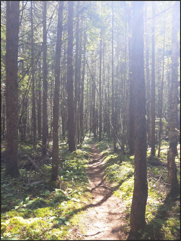 Pukaskwa National Park - White river suspension bridge trail