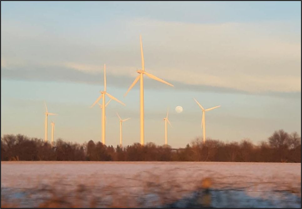 windmills