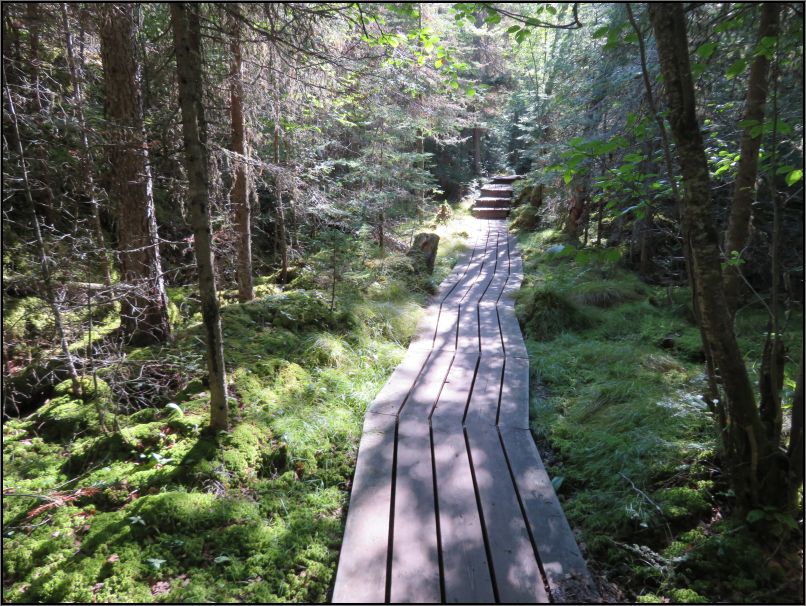 Pukaskwa National Park - White river suspension bridge trail