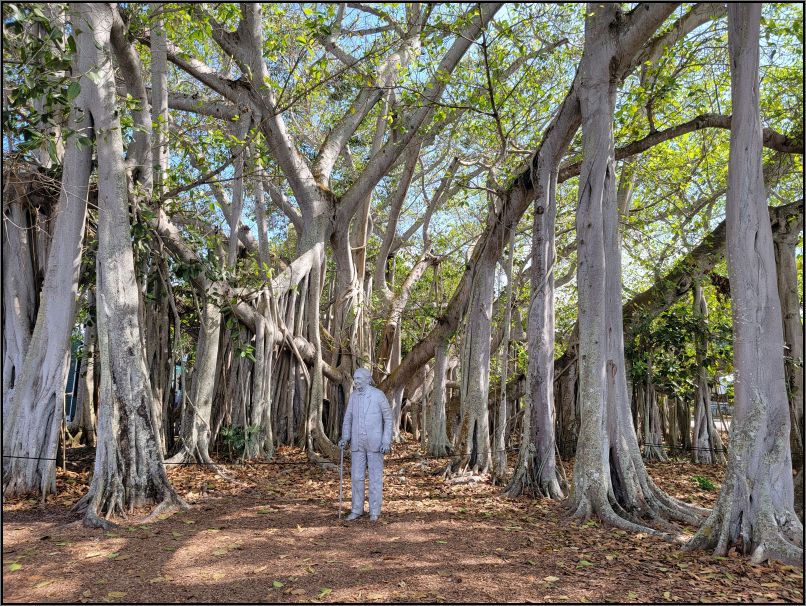 Edison sculpture and the Banyan trees