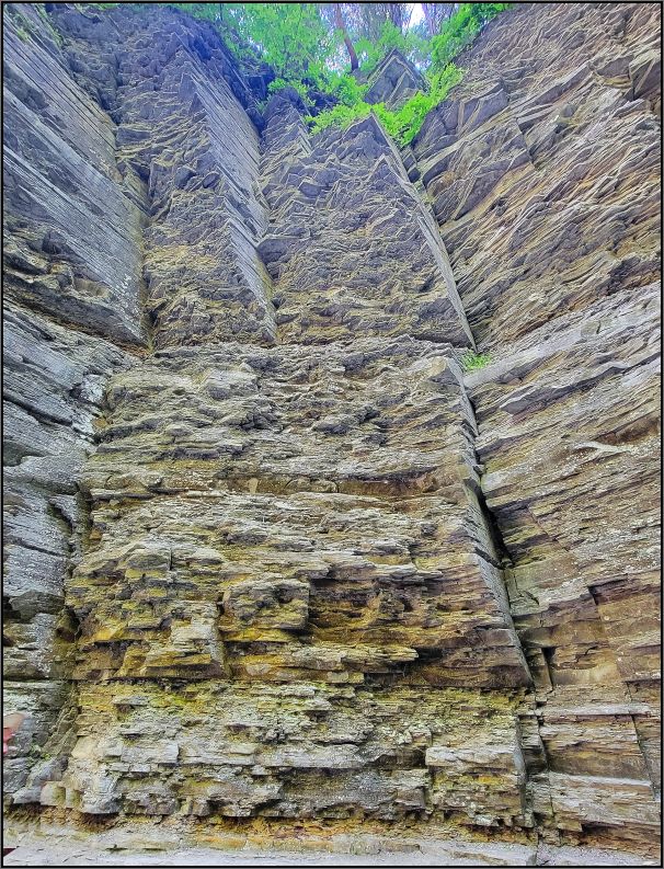 Continental collision