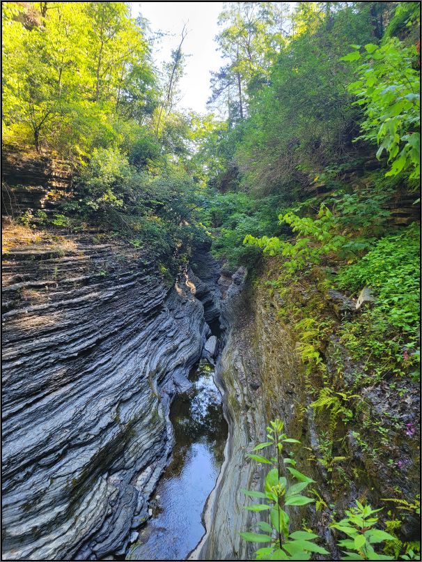 Multilayered cliffs, Watkins Glen state park