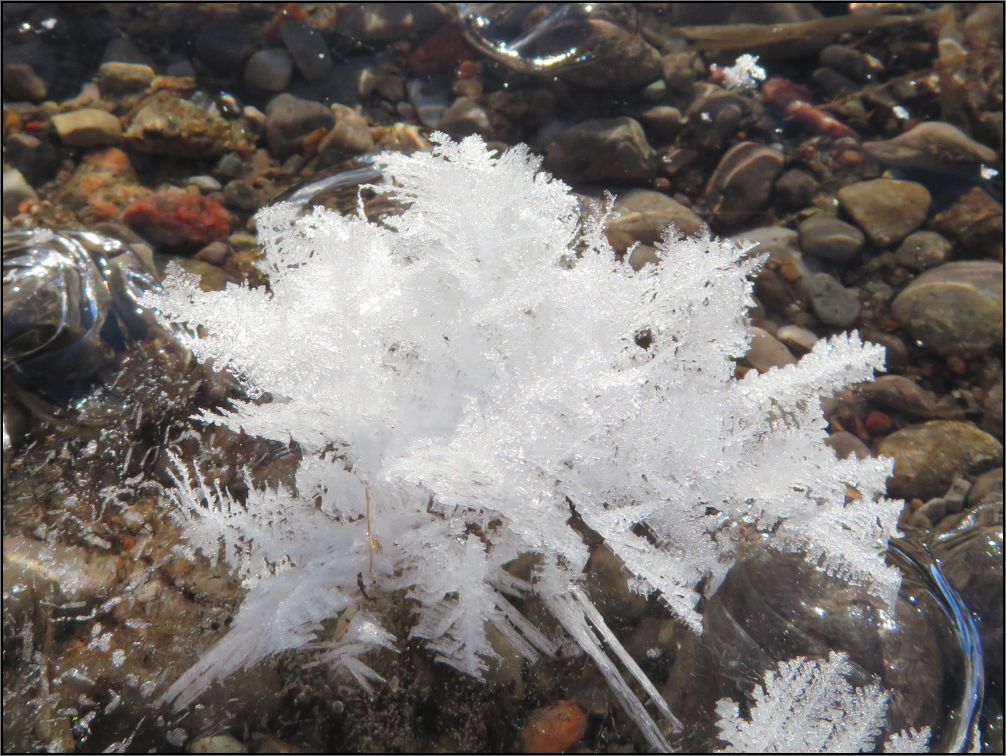 Frost flowers