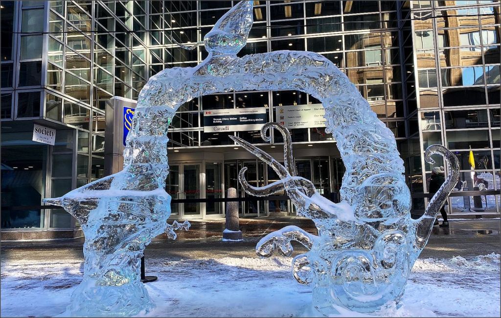 Catch me if you can! - British Columbia team