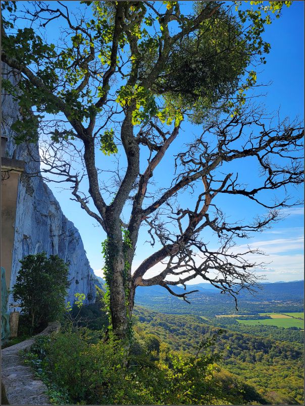 Sainte-Baume mountain ridge