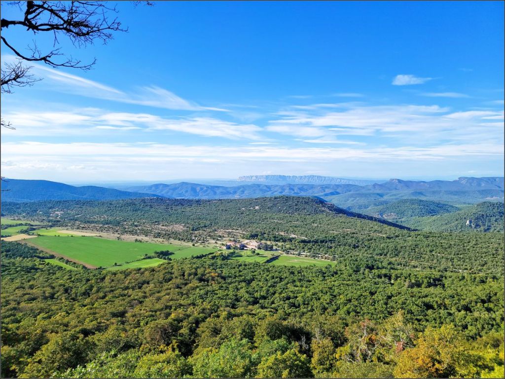 Sainte-Baume State Forest