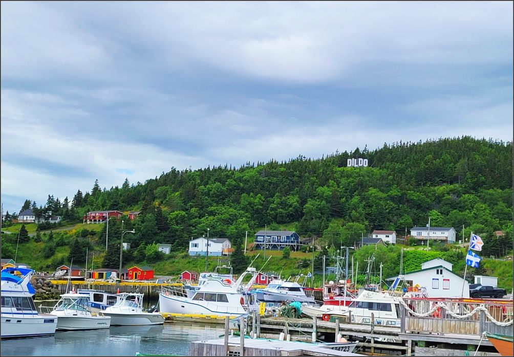Dildo - home of the most photographed town sign in the province