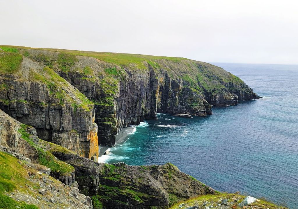 Edge of Avalon - Rookery trail